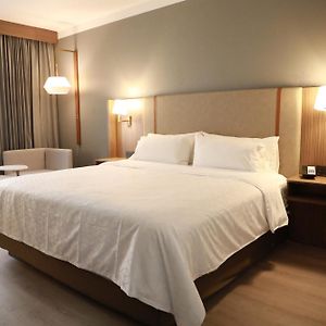 Holiday Inn Durango By Ihg